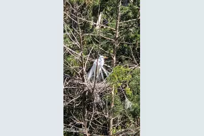 130 Sea Otter Lane, Ladys Island, SC 29920 - Photo 34