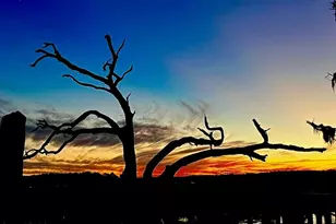 126 Stuart Point Rd, Seabrook, SC 29940 - Photo 28