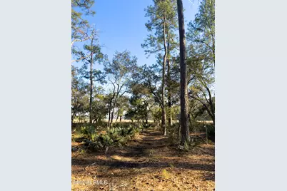 45 Huspah Court S, Sheldon, SC 29941 - Photo 4