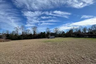4887 Burtons Ferry Hwy, Allendale, SC 29810 - Photo 24