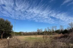 4887 Burtons Ferry Hwy, Allendale, SC 29810 - Photo 18