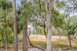 6 Winding Oak Dr, Okatie, SC 29909 - Photo 38