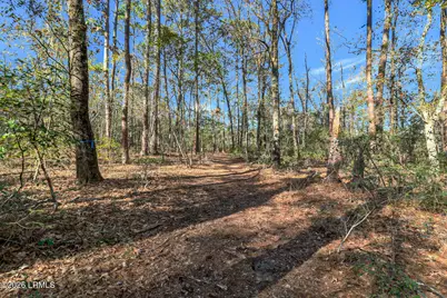 86 Tomotley Barony Drive, Seabrook, SC 29940 - Photo 26