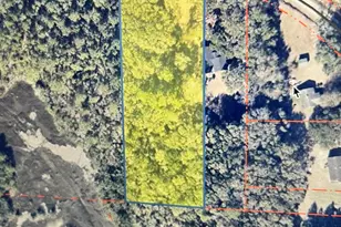 380 Bruce K Smalls Dr, Beaufort, SC 29906 - Photo 1