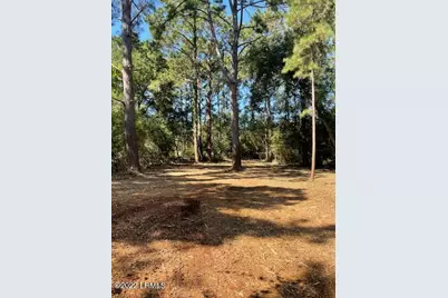 49 Dolphin Point Drive, Beaufort, SC 29907 - Photo 1