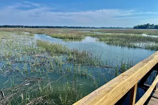16 Riverview Dr, Beaufort, SC 29907 - Photo 42
