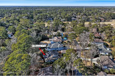 8 Brassie Court, Hilton Head, SC 29928 - Photo 46