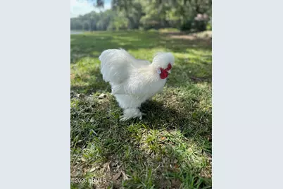 19 Belle Isle Farms, Beaufort, SC 29907 - Photo 70