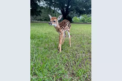 19 Belle Isle Farms, Beaufort, SC 29907 - Photo 72