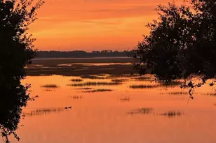 19 Belle Isle Farms, Beaufort, SC 29907 - Photo 52