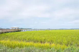 1 Camp Saxton Way, Port Royal, SC 29935 - Photo 48