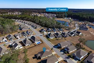 406 Rye Crk Cir, Bluffton, SC 29909 - Photo 34