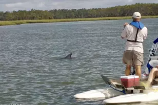 40 Folly Field Rd, Hilton Head, SC 29928 - Photo 52