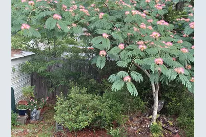 50 Scipio Road, Beaufort, SC 29906 - Photo 62