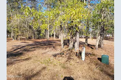 Tbd Beaver Dam Road, Ridgeland, SC 29936 - Photo 8