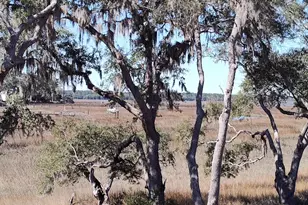 1 Bennett Point Dr, Beaufort, SC 29907 - Photo 38