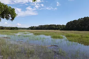 1 Bennett Point Dr, Beaufort, SC 29907 - Photo 10