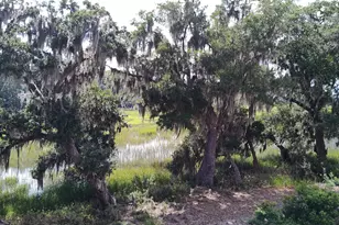 1 Bennett Point Dr, Beaufort, SC 29907 - Photo 40