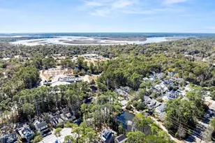 6 Wild Spartina St, Bluffton, SC 29910 - Photo 44