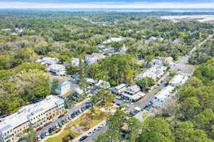 6 Wild Spartina St, Bluffton, SC 29910 - Photo 44