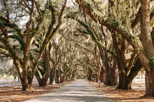 21 Hunting Ct, Bluffton, SC 29910 - Photo 40