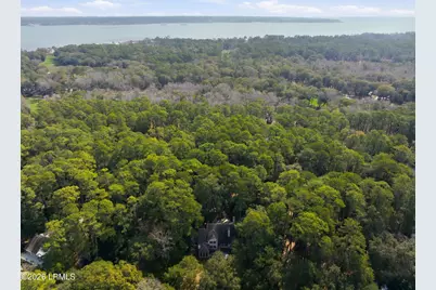3 Wood Duck Court, Daufuskie Island, SC 29915 - Photo 46