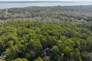 3 Wood Duck Ct, Daufuskie Island, SC 29915 - Photo 46