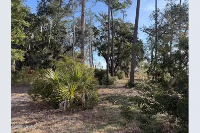 1 Shallow Run Lane, Beaufort, SC 29907 - Photo 2