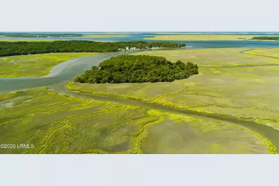 Tbd Blackwall Island, Saint Helena Island, SC 29920 - Photo 46