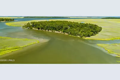 Tbd Blackwall Island, Saint Helena Island, SC 29920 - Photo 36