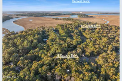 Tbd Blackwall Island, Saint Helena Island, SC 29920 - Photo 8