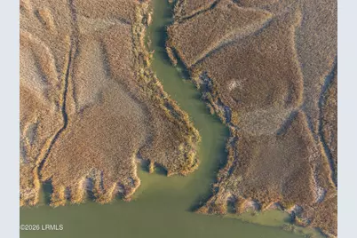 Tbd Blackwall Island, Saint Helena Island, SC 29920 - Photo 4