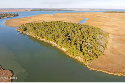 Tbd Blackwall Island, Saint Helena Island, SC 29920 - Photo 30