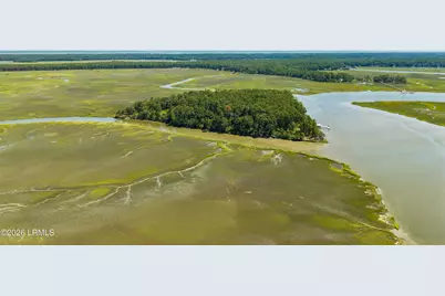 Tbd Blackwall Island, Saint Helena Island, SC 29920 - Photo 12