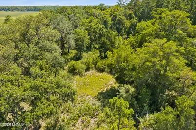Tbd Blackwall Island, Saint Helena Island, SC 29920 - Photo 28