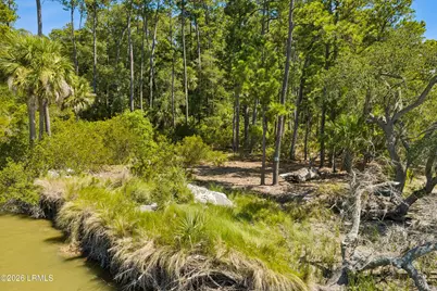 Tbd Blackwall Island, Saint Helena Island, SC 29920 - Photo 24