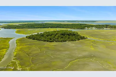 Tbd Blackwall Island, Saint Helena Island, SC 29920 - Photo 44