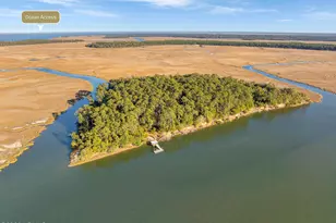 Tbd Blackwall Island, Saint Helena Island, SC 29920 - Photo 1
