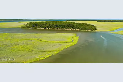 Tbd Blackwall Island, Saint Helena Island, SC 29920 - Photo 6