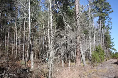 2650 Joe Miley Road, Brunson, SC 29911 - Photo 6