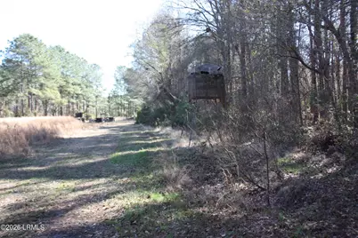 2650 Joe Miley Road, Brunson, SC 29911 - Photo 4