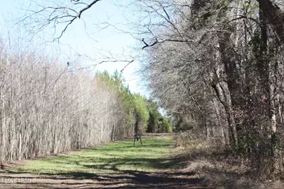 2650 Joe Miley Road, Brunson, SC 29911 - Photo 2