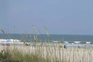 40 Folly Field Rd, Hilton Head Island, SC 29928 - Photo 44