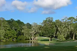 47 Sugar Mill Dr, Okatie, SC 29909 - Photo 64