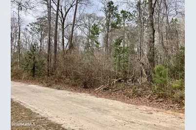 0 Delta Estates Road, Hardeeville, SC 29927 - Photo 2
