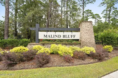 804 Danner Drive, Okatie, SC 29909 - Photo 54