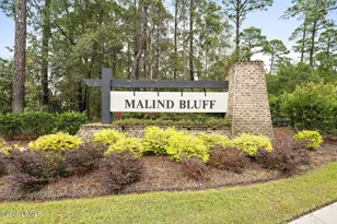 804 Danner Dr, Okatie, SC 29909 - Photo 54