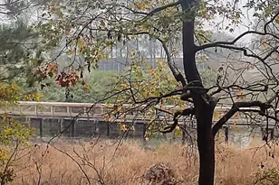 116 Tamara Ln, Port Royal, SC 29935 - Photo 12