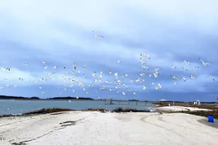 116 Tamara Ln, Port Royal, SC 29935 - Photo 14