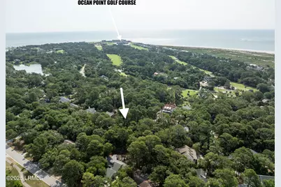 715 Marlin Drive, Ladys Island, SC 29920 - Photo 10